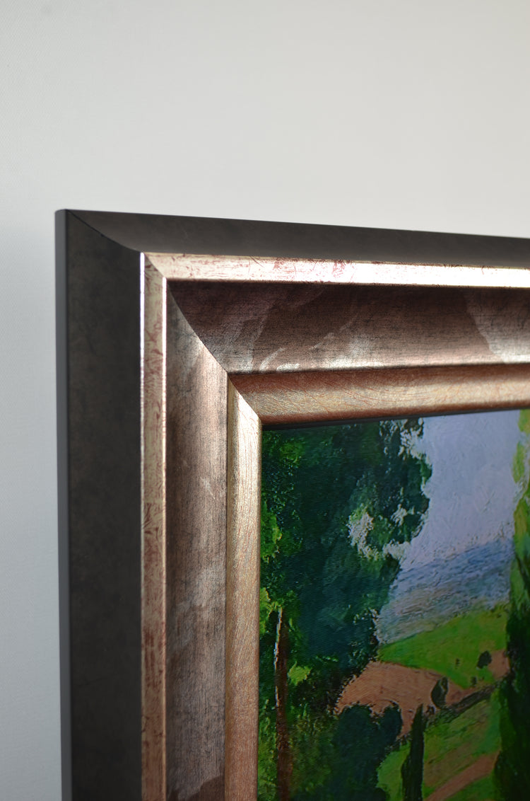 Isadora - Bronze Silver TV Frame