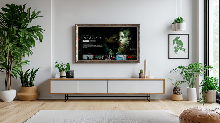 Isadora - Bronze Silver TV Frame