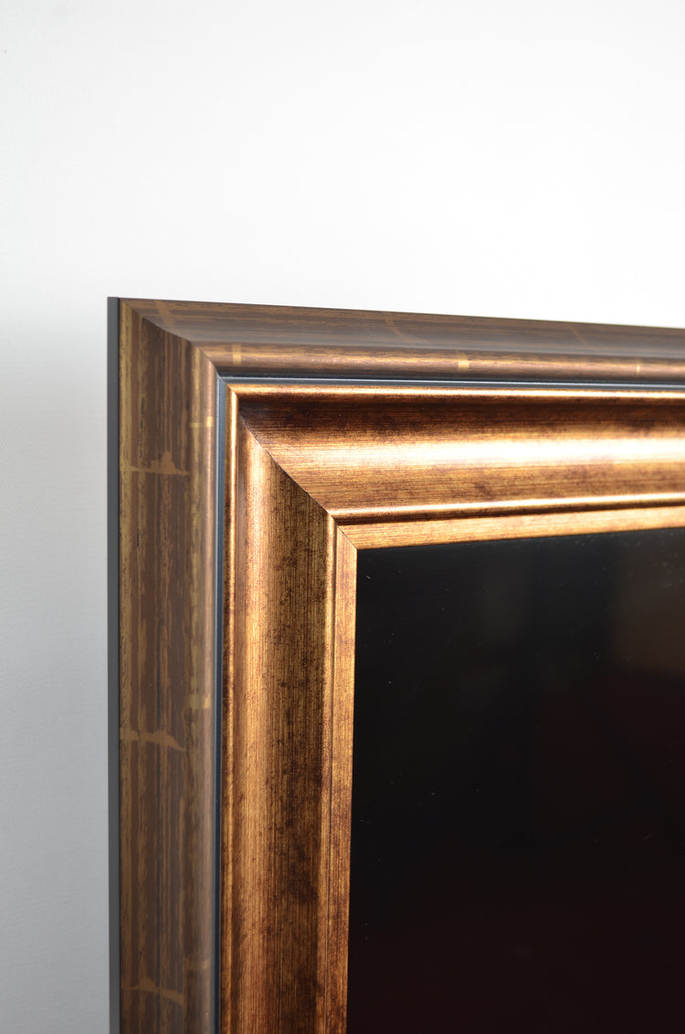 Fenna - Antique Gold TV Frame